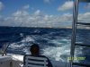 First mate