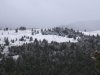 img_6842