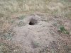 Prairie Dog Hole