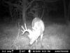 10 Point