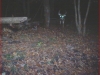 Joe\'s New Property