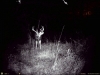 10 Point