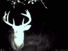10 Point