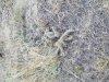20171001_072237.jpg