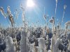 20171003_092242.jpg