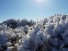 20171003_092440.jpg