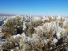 20171003_092509.jpg